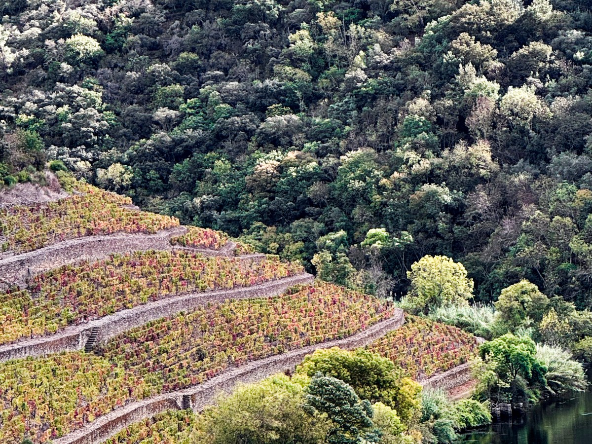 How to Tour the Douro Valley: Our Favorite Way to&nbsp;Explore